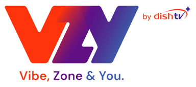 VZY TV logo